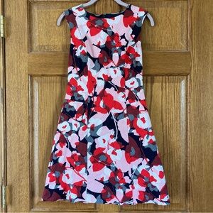 The Limited Red, Pink, & Navy Floral Print Textured Dress 0